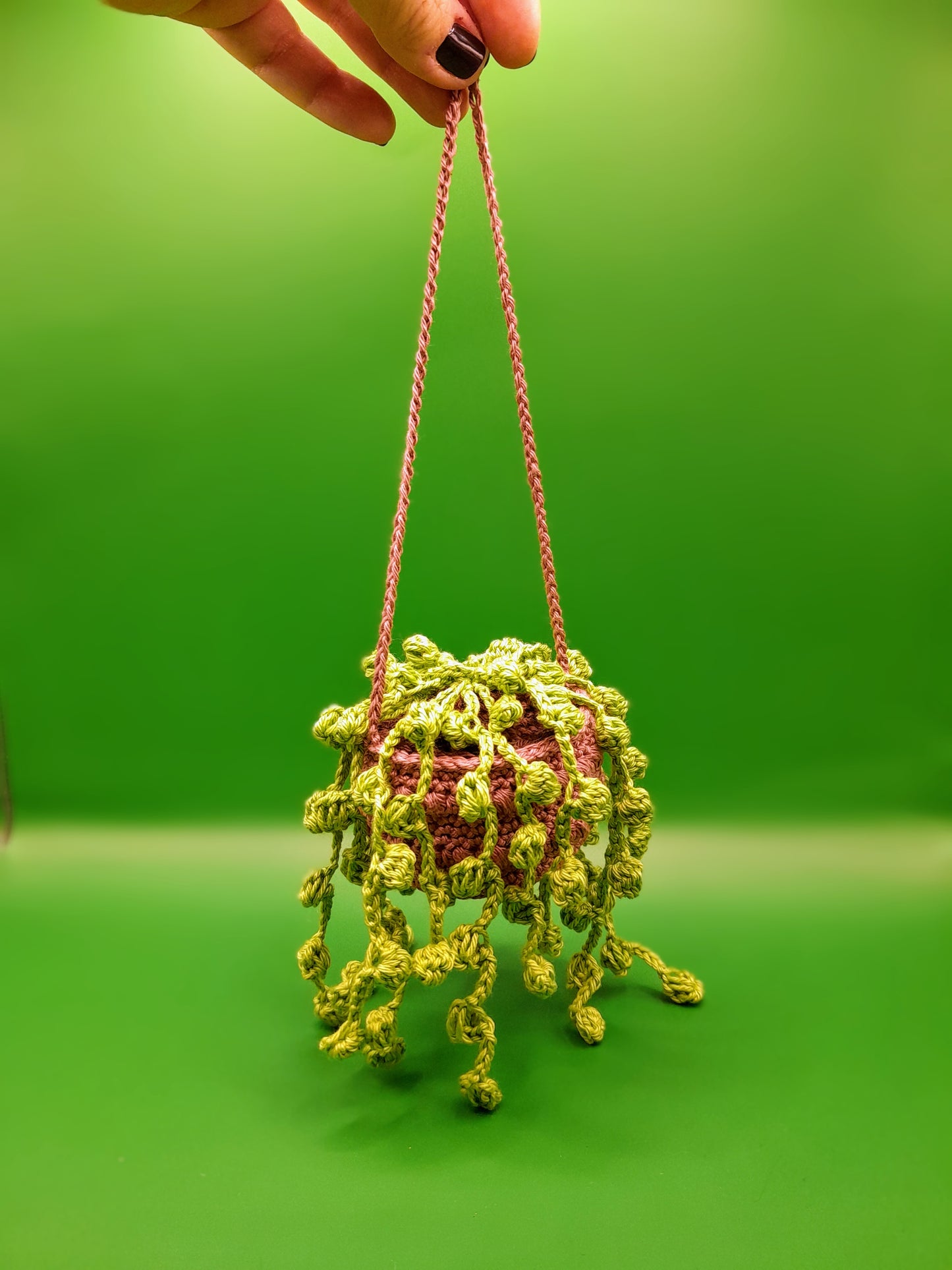 Crochet Hanging Succulent