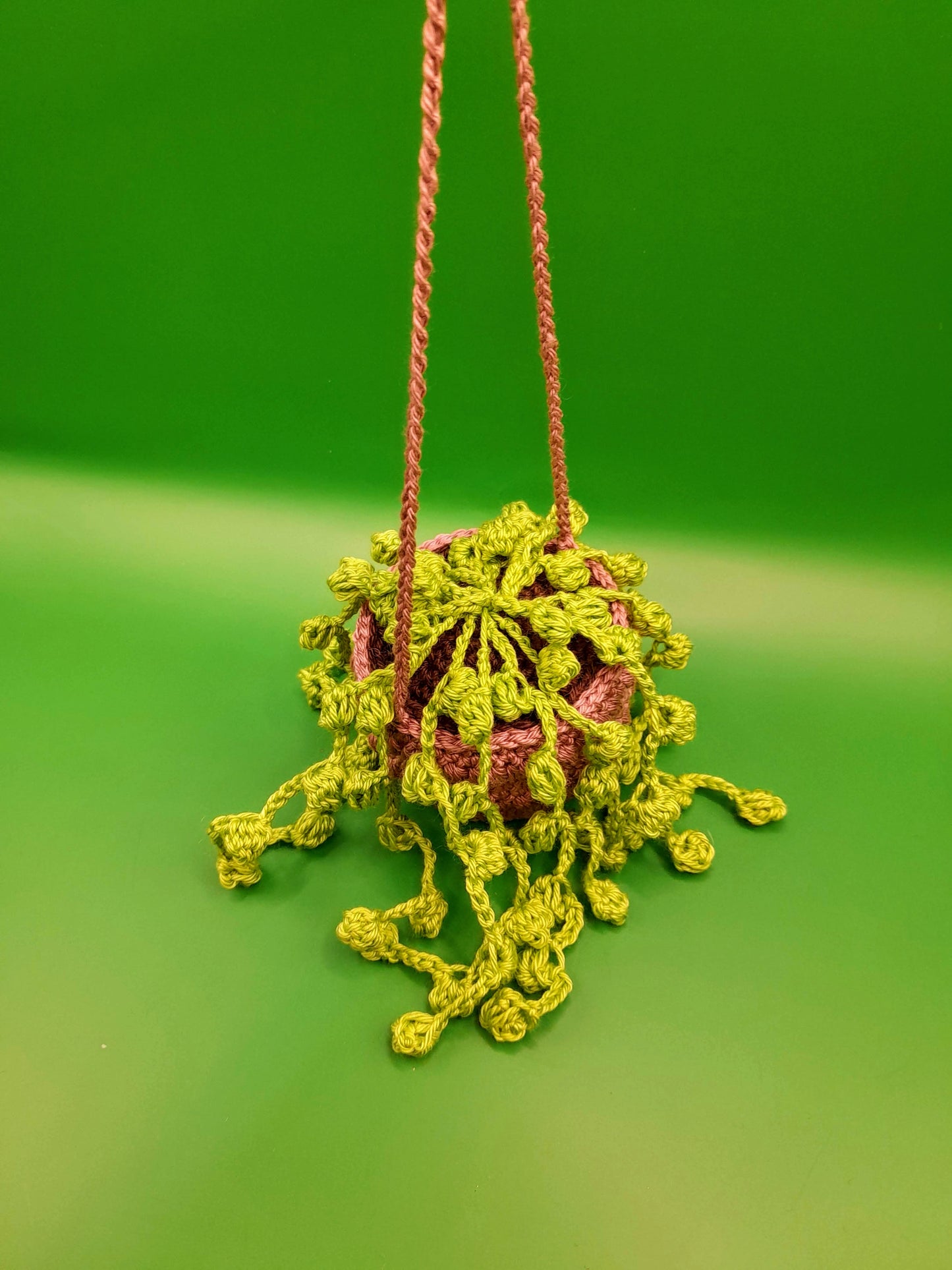 Crochet Hanging Succulent