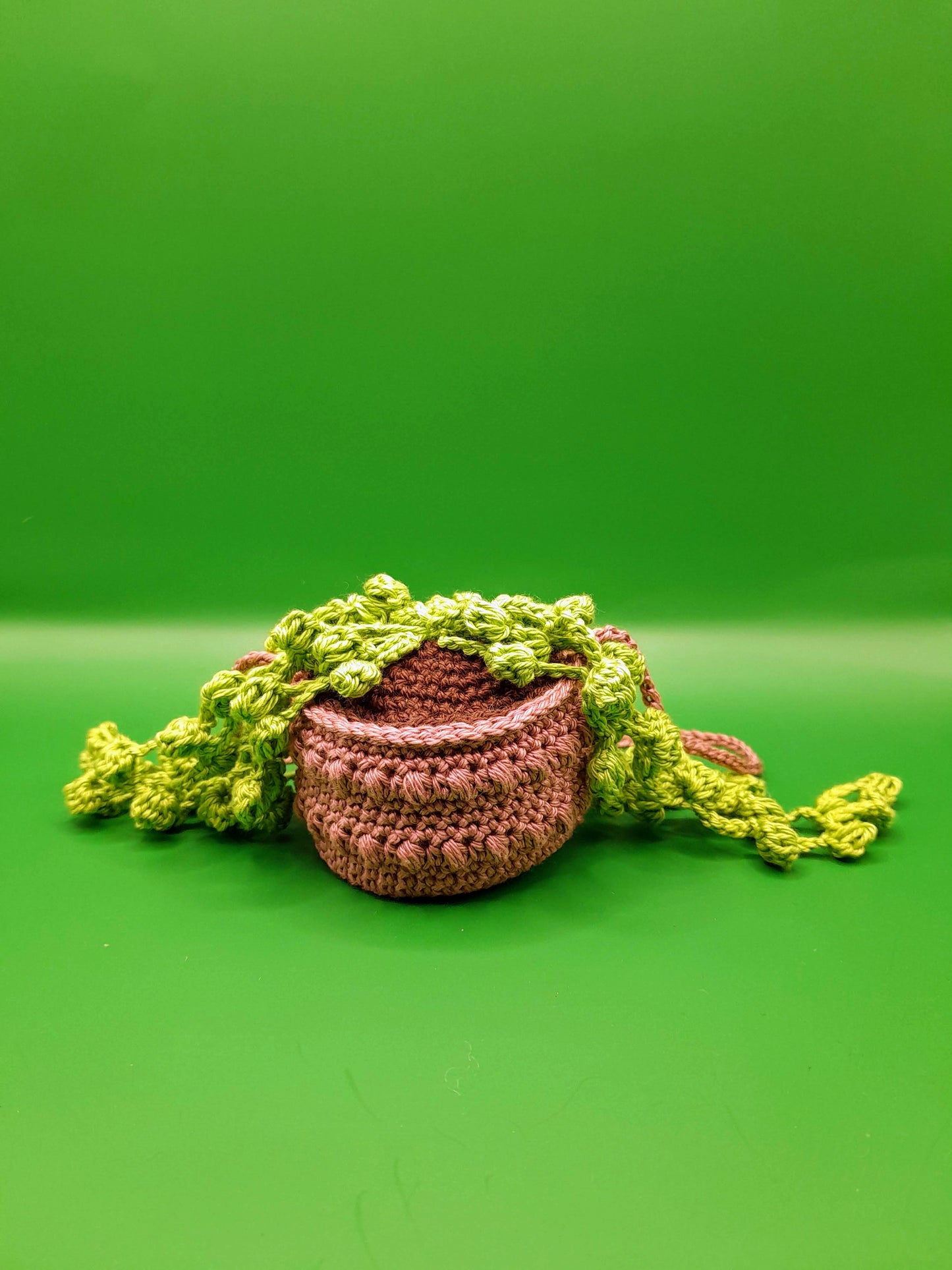 Crochet Hanging Succulent