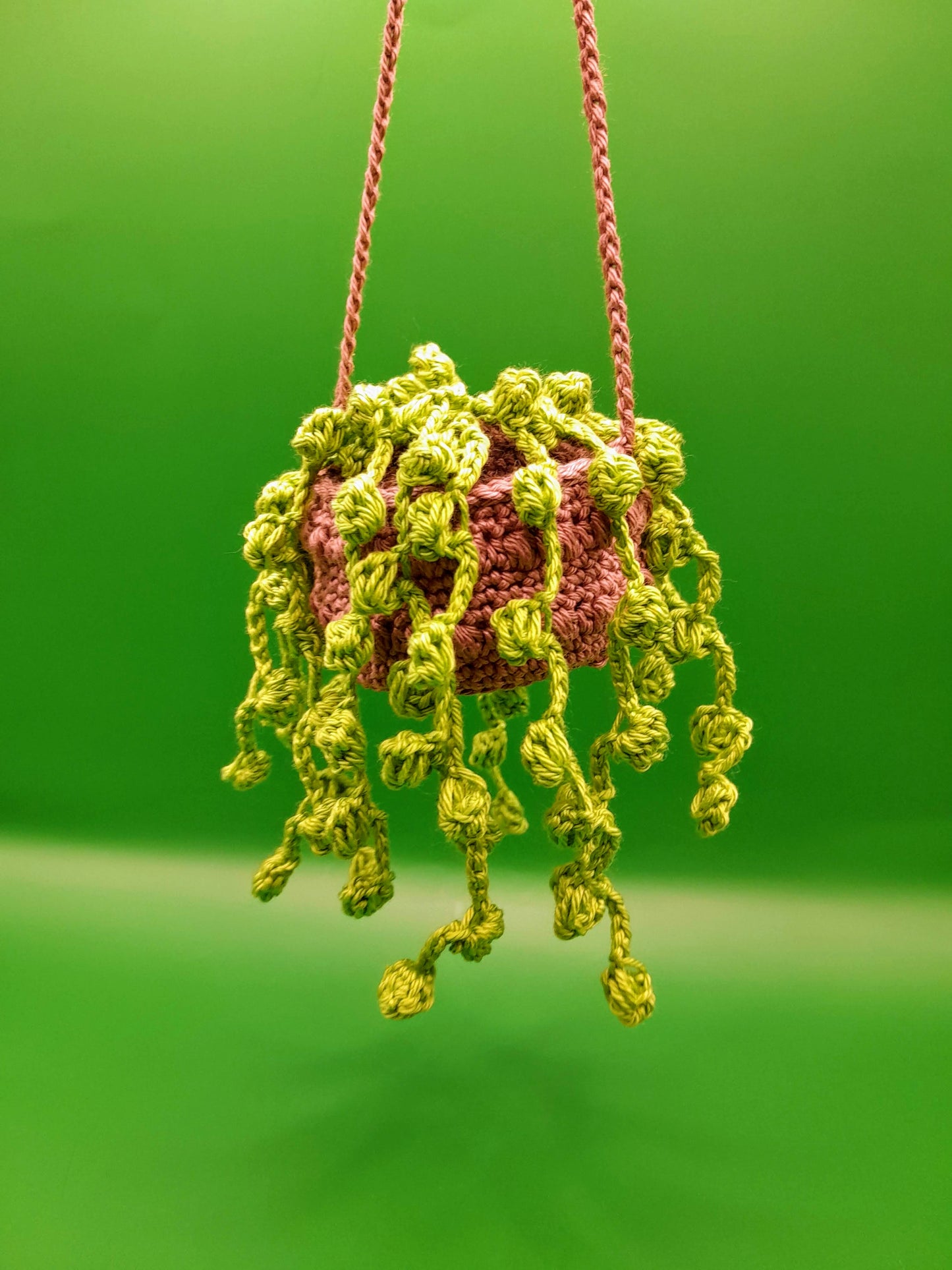 Crochet Hanging Succulent