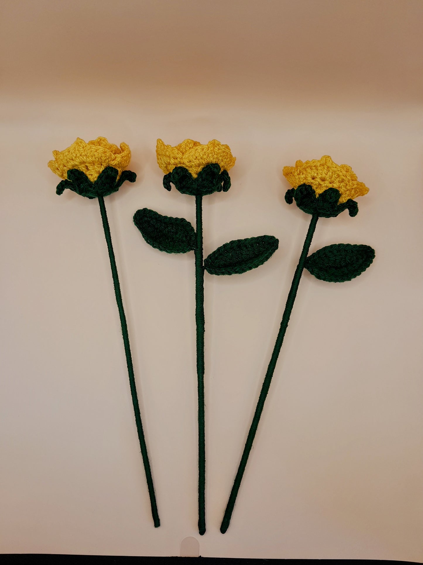 Crochet Roses Bouquet 💐
