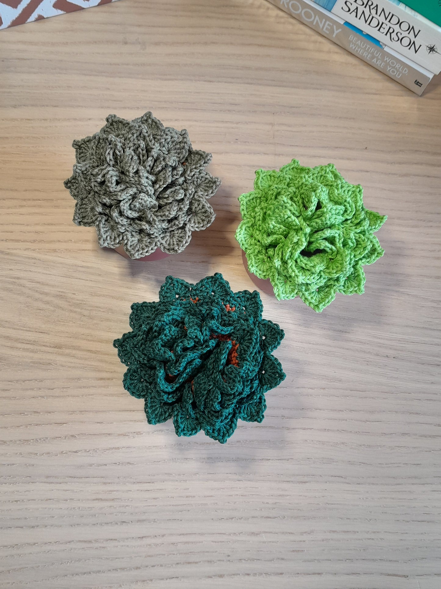 Crochet Succulent Coasters with a Ceramic Pot