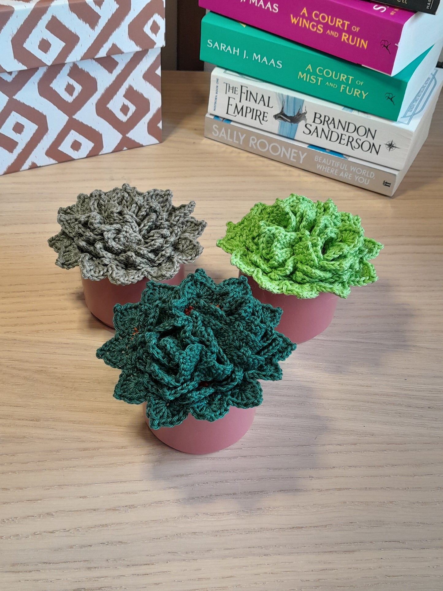 succulent coasters Crochet Succulent Coasters with a Ceramic Pot – Carlita's Hook