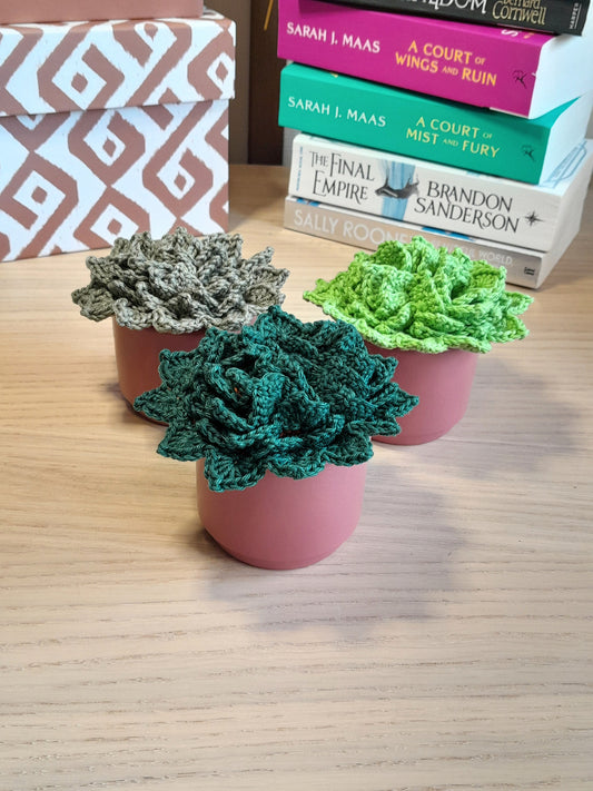 Crochet Succulent Coasters with a Ceramic Pot